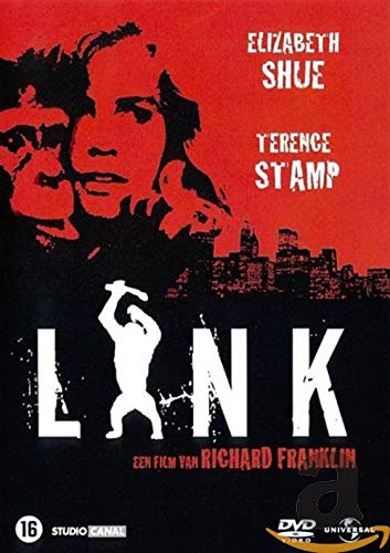 Link