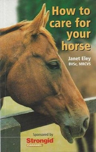 How to Care For Your Horse