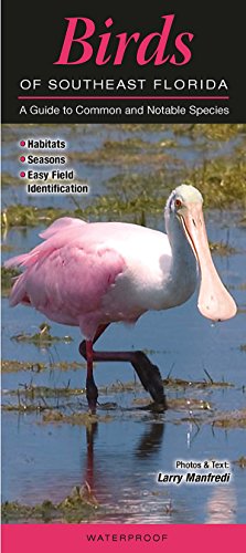 Birds of Southeast Florida
