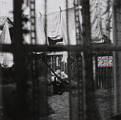 Chaos And Creation In The Backyard