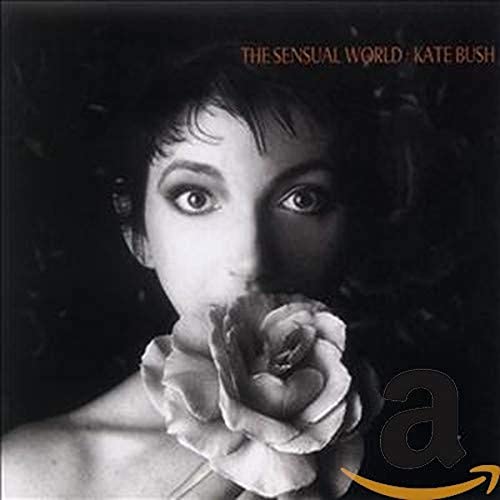 The Sensual World