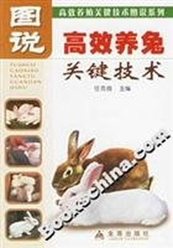drawings of key technologies and efficient rabbit(Chinese Edition)