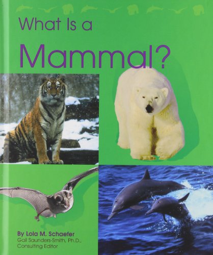 What Is a Mammal?