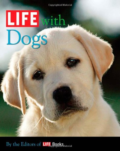 Life with Dogs
