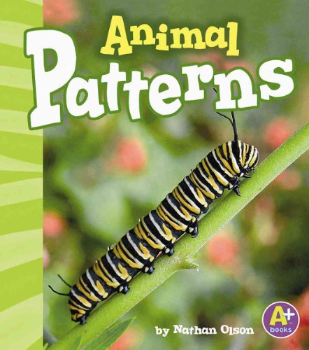Animal Patterns