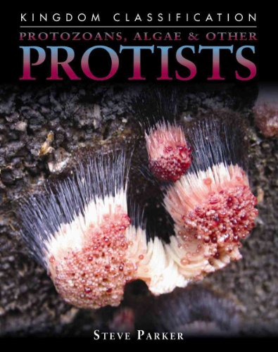 Protozoans, Algae & Other Protists