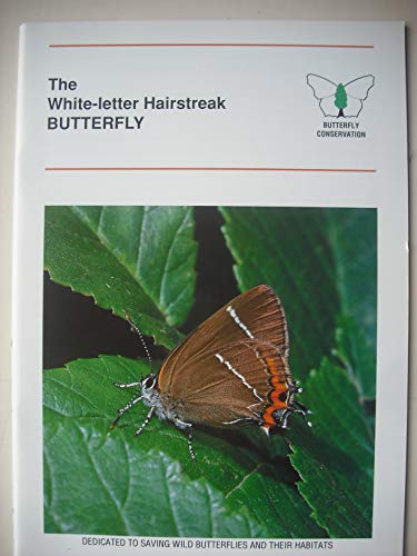 The White-Letter Hairstreak Butterfly