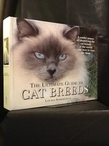 The Ultimate Guide to Cat Breeds