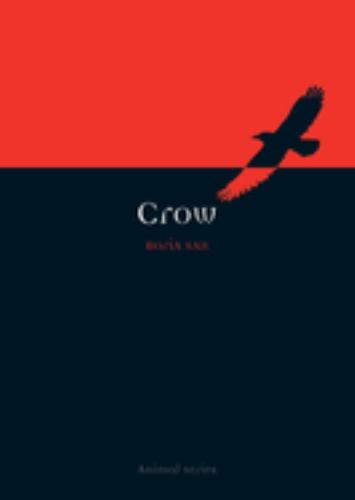 Crow