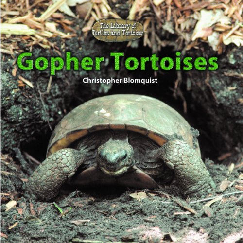 Gopher Tortoises