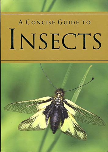 A Concise Guide to Insects