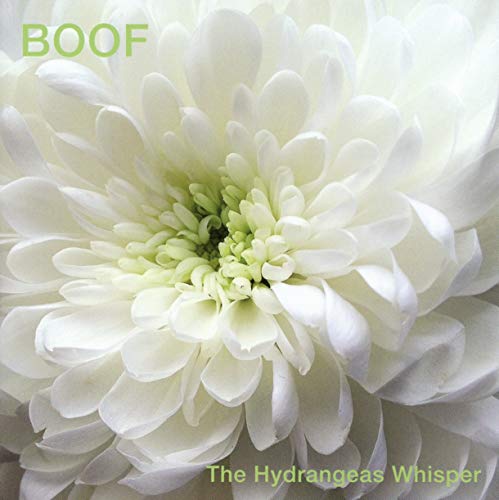 The Hydrangeas Whisper