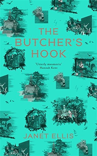 The Butcher's Hook: Longlisted for the Desmond Elliot Prize 2016 by Janet Ellis (2016-02-25)