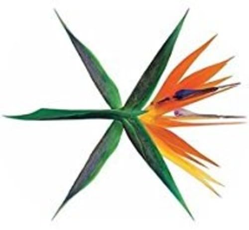 Vol 4 (The War) (Korean Version)