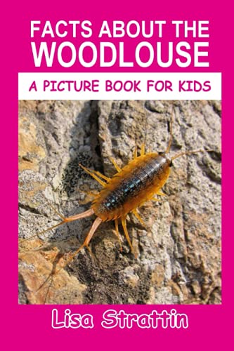 Facts About the Woodlouse
