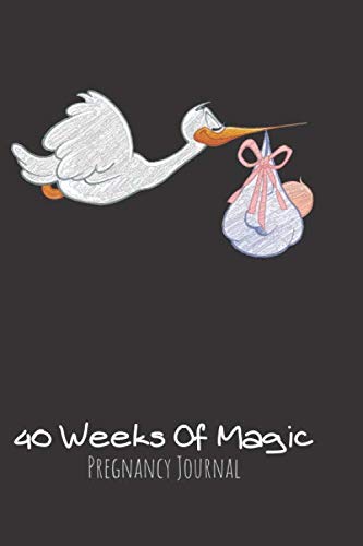 40 Weeks Of Magic Pregnancy Journal: Pregnancy Keepsake Notebook