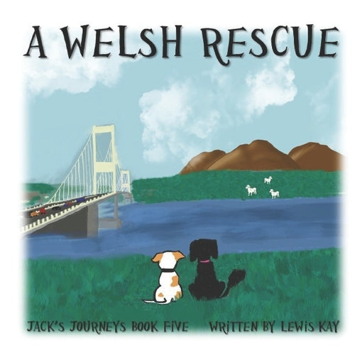 A Welsh Rescue