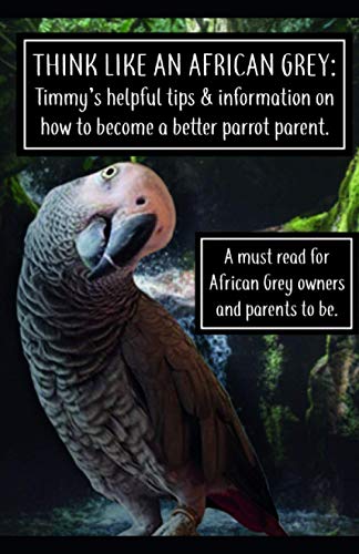 Think like an African Grey: Timmy’s helpful tips and information on how to become a better parrot parent