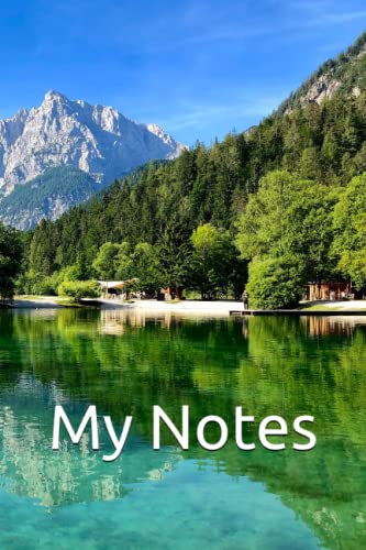 MY NOTES: Structured and indexed notebook for people dealing with Alzheimers Dementia and Memory Loss - (100+ Pages)