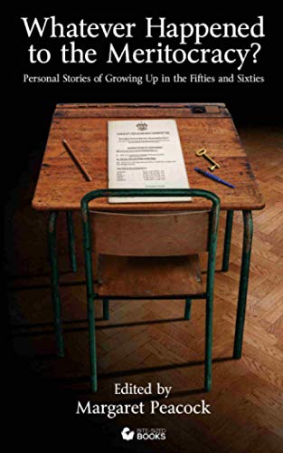 Whatever Happened to the Meritocracy?: Personal Stories of Growing Up in the '50s and '60s (Bite-Sized Lifestyle Books)
