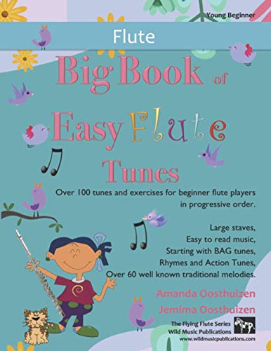 Big Book of Easy Flute Tunes: Over 100 tunes and exercises for beginner flute players in progressive order