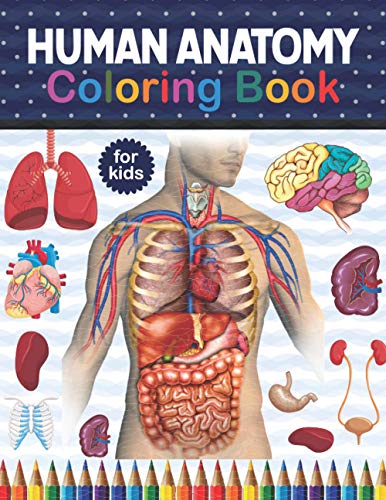 Human Anatomy Coloring Book For Kids