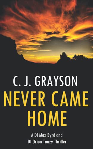 Never Came Home : DI Max Byrd and DI Orion Tanzy