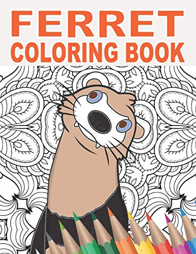Ferret Coloring Book