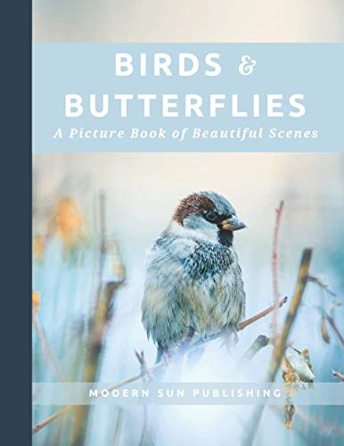 Birds & Butterflies: A Picture Book of Beautiful Scenes: A Picture Book for People Experiencing Dementia or Memory Loss