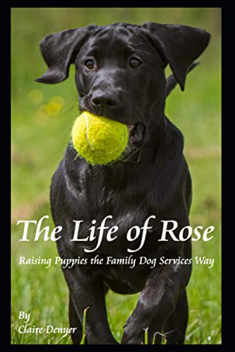 The Life of Rose: Raising a Puppy the Family Dog Services Way
