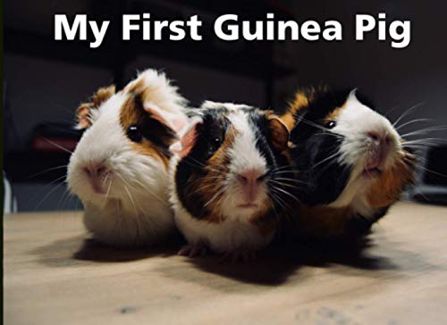 My First Guinea Pig: A charming care journal for a junior pet owner
