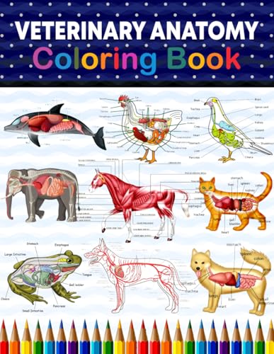 Veterinary Anatomy Coloring Book
