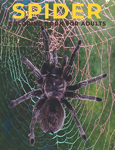 Spider Coloring Book for Adults