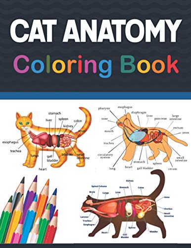 Cat Anatomy Coloring Book : Cat Anatomy Coloring Workbook for Kids, Boys, Girls and Adults. Veterinary Physiology Animals Workbook and Coloring. Perfect Gift for Vet Students and Even Adults. Handbook of Veterinary Anesthesia. Vet Tech Coloring Books