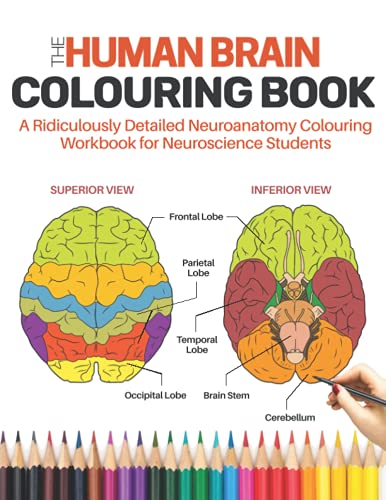 Human Brain Colouring Book - a Ridiculously Detailed Neuroanatomy Colouring Book for Neuroscience Students : Learn and Master the Structure of Human Brain Easily by Coloring Neuro Colouring Book Gift for Doctors, Nurses, Medical and Nursing Students