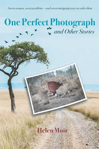 'One Perfect Photograph' and other stories.