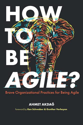 How to be Agile: Brave organizational practices for being Agile