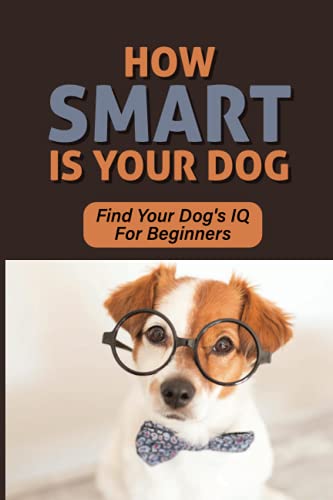 How Smart Is Your Dog