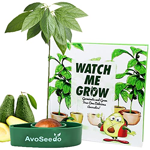 AvoSeedo Bowl Grow Your Own Avocado Tree,Evergreen,Perfect Avocado Tree Growing Kit for Every Avocado Lover (1, Multi-Color)