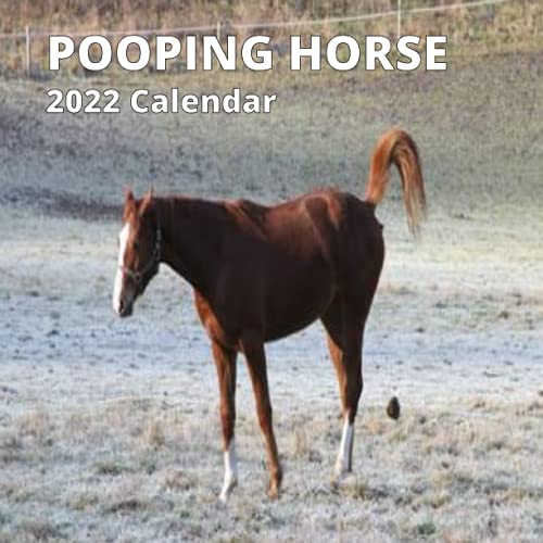 Pooping Horse Calendar 2022: Funny Animal Lover Gag Joke Gift for horse ,Women, Men,Men Coworker Teens Great lovers Birthday, White Elephant Party, ... Stocking Filler or Stuffer, Christmas