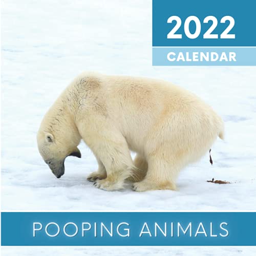 Animals Pooping Calendar: Funny dog pooches cat wolf bird elephant and more in awkward positions in nature - planner for White Elephant Gag Secret ... Christmas Gift - Perfect joke and prank
