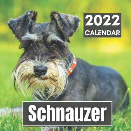 Schnauzer Calendar 2022 : Beautiful Photos of Dogs Great Gift for Pooch Lovers Perfect for Adults Teens and Kids