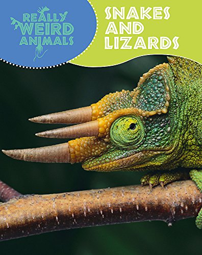 Snakes and Lizards