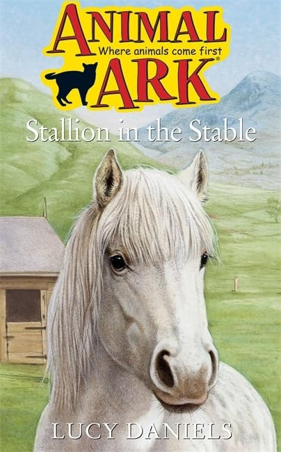 Stallion in the Stable