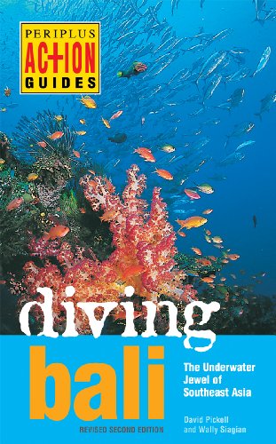 Diving Bali