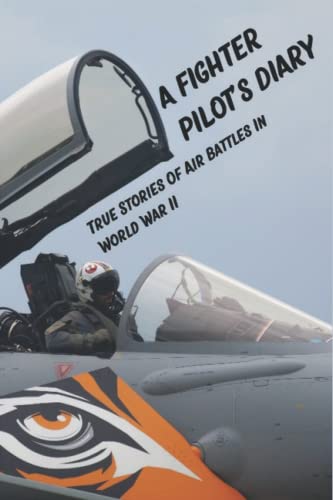 A Fighter Pilot's Diary: True Stories Of Air Battles In World War II