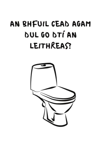 An bhfuil cead agam dul go dti an leithreas notebook: Funny notebook as Gaeilge
