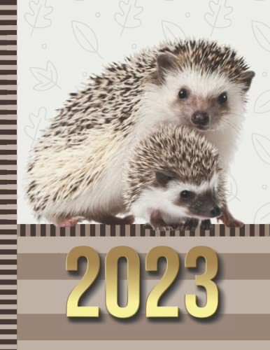 2023 Calendar and Notebook In One: 8.5x11 Dated Monthly Planner With 100 Blank College-Ruled Lined Sheets Combo / Life Organizer - Whole Month on Two ... New Year's Gift / Hedgehog - Animal Art Photo