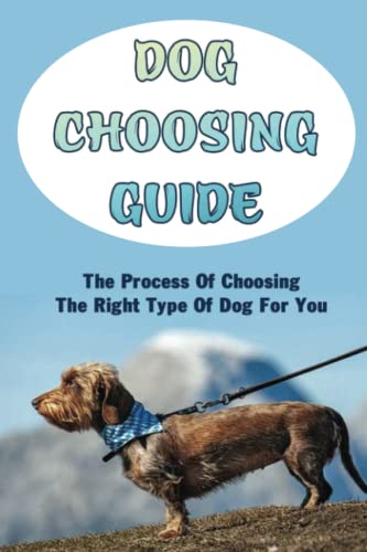Dog Choosing Guide: The Process Of Choosing The Right Type Of Dog For You