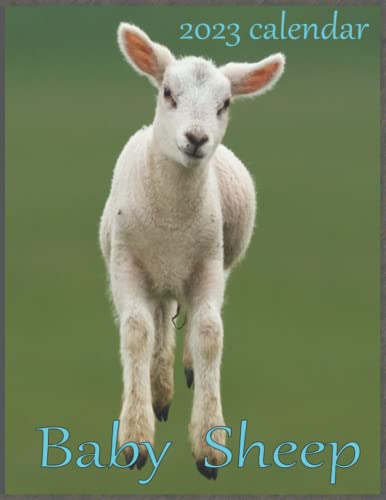 Baby Sheep Calendar 2023 : Daily, Weekly and Monthly Planner Baby Sheep 2023-2024